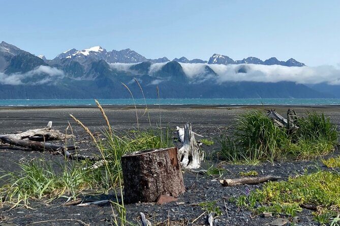 Tonsina Beach Hike with Seward Guided Hikes - The Value of This Tour: Is It Worth It?