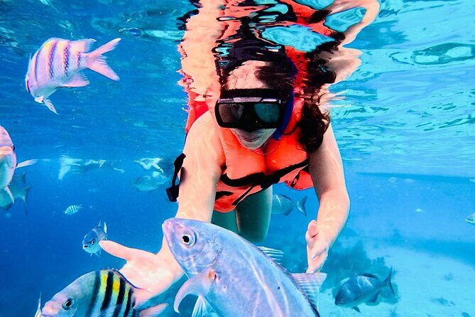 Top Experience: Snorkel Tour & All Inclusive Beach Club - The Realities Based on Reviews