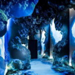 Toronto: Arcadia Earth, Immersive Experience Anytime Ticket - The Setting: The Well, Toronto’s New Cultural Hub