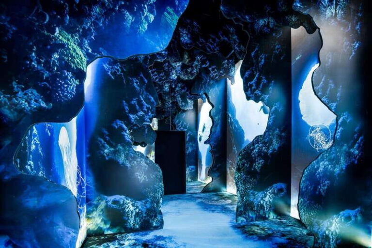Toronto: Arcadia Earth, Immersive Experience Anytime Ticket - The Setting: The Well, Toronto’s New Cultural Hub