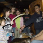 Toronto: Bata Shoe Museum Entrance Ticket - What Can You Expect on Your Visit?