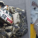 Toronto: Highlights Drive and Walking Tour - The Experience of a Guided Tour