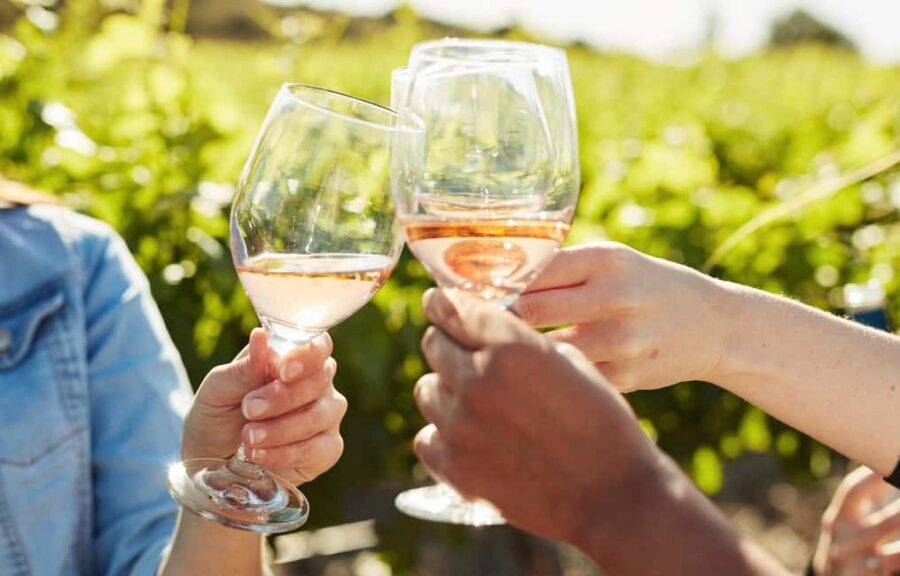 Toronto: Niagara-on-the-Lake, Wine Tasting & Chocolate Tour - Is It Worth the Price?