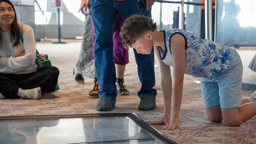 Toronto: Premium Driving Tour with Tower and Harbour Cruise - How the Tour Works in Practice