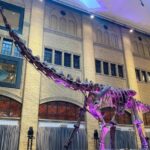 Toronto: Royal Ontario Museum Scavenger Hunt - The Experience of the Scavenger Hunt