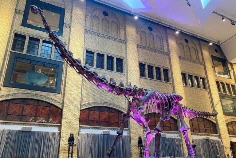 Toronto: Royal Ontario Museum Scavenger Hunt - The Experience of the Scavenger Hunt