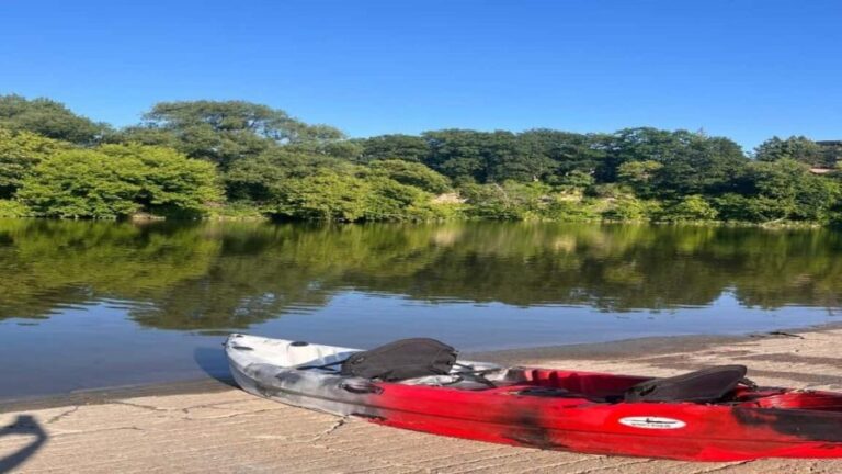 Toronto: Tandem Kayak Rental with Delivery - The Value of This Kayaking Experience