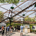 Toronto: Toronto Zoo Entry Ticket - Who Is This Experience Best For?