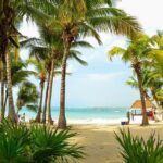 Tortugas & Cenotes Snorkel With Turtles Tour - The Day Itself: What to Expect