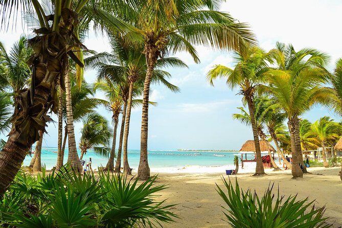 Tortugas & Cenotes Snorkel With Turtles Tour - The Day Itself: What to Expect