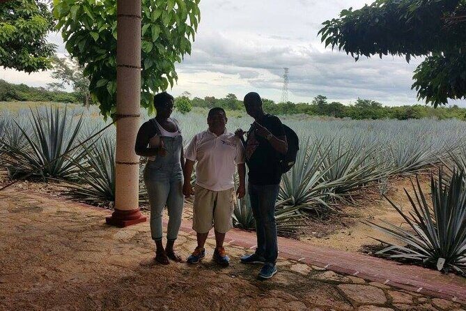 Tour 3-Day Private Yucatan Peninsula Tour Including Mayan Community - An Immersive 3-Day Journey Through Yucatán