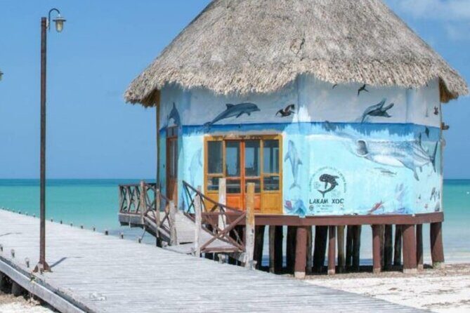 Tour 3 Islands in Holbox Premium Experience - Whats Included and Whats Not