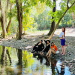 Tour en ATV Cuatrimotos + Guía + Traslados - The Itinerary in Detail