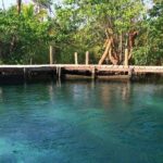 Tour Holbox Enjoy the nature only from Playa del Carmen - What makes this tour stand out?