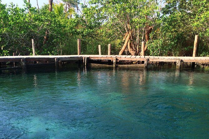 Tour Holbox Enjoy the nature only from Playa del Carmen - What makes this tour stand out?