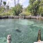 Tour Holbox - Magic Island! Round Transportation from Tulum - What We Love About This Tour