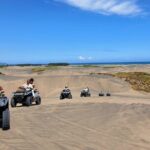 Tour in 4x4 ATVs inside the Dunes of Chachalacas, Veracruz - Cost and Value