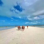 Tour in Italian in Holbox - What the Reviews Say