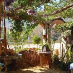 Tour in San Sebastian del Oeste - Who Should Consider This Tour?