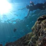 Tour islands Marietas Snorkeling and Nopalera Beach - The Experience and Its Value