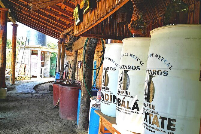 Tour Los Caminos del Mezcal Café and Pedal Loom Factory - Balancing the Good with Considerations