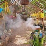 TOUR OF THE 4 BACABES : EXPERIENCE WITH MELIPONA BEES - The Significance of Melipona Bees in Mayan Culture