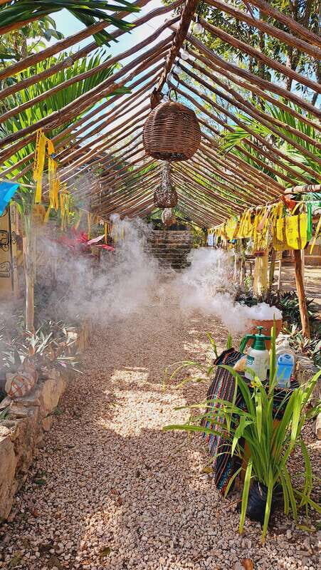 TOUR OF THE 4 BACABES : EXPERIENCE WITH MELIPONA BEES - The Significance of Melipona Bees in Mayan Culture