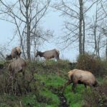 Tour of Warrenton - Who Should Consider This Tour?