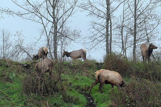 Tour of Warrenton - Who Should Consider This Tour?
