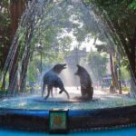 Tour of Xochimilco and Coyoacán, leaving from Mexico City - The Value of the Tour