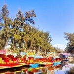 Tour of Xochimilco and The World of Frida Kahlo - What Travelers Say About This Tour