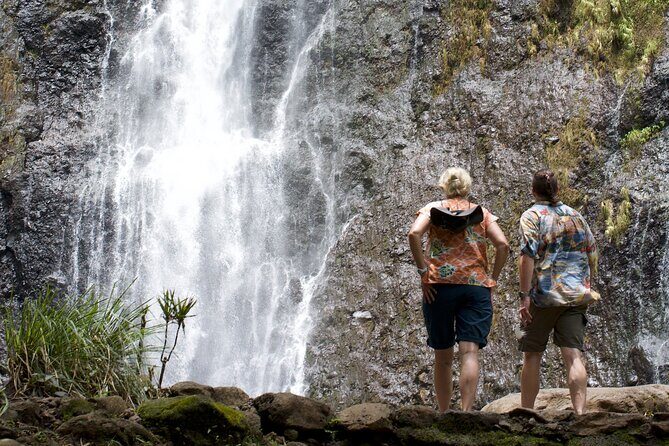 Tour Tahiti in Private - The Practicalities and Extras