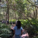 Tour to Celestún - Who Is This Tour Best For?