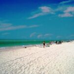 Tour to Celestun and see the flamingos - What to Expect from the Tour