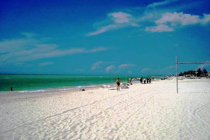 Tour to Celestun and see the flamingos - What to Expect from the Tour