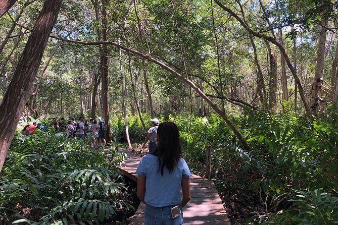 Tour to Celestún - Who Is This Tour Best For?