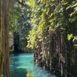 Tour to Hacienda Mucuyché, 2 cenotes & Oxkintok from Merida - Practical Considerations