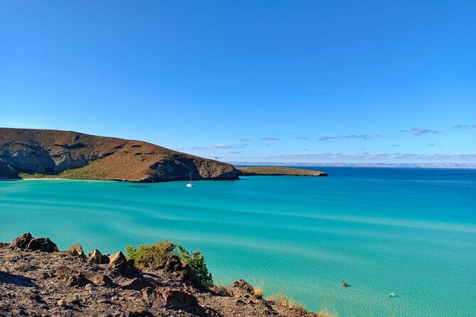 Tour to La Paz Playa Balandra Malecón and Todos Santos - Authentic Feedback and Expectation Setting
