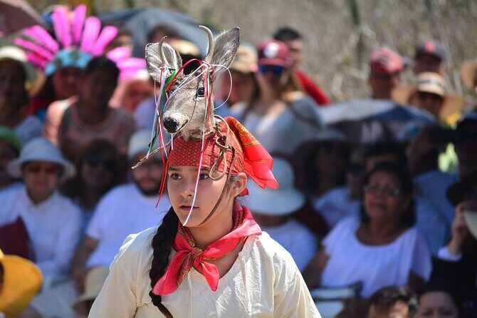 Tour to Teotihuacan by Panoramic Bus with Food Option - Transportation and Timing: Why They Matter