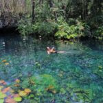 Tour Tulum 4 Cenotes and Traditional Food in Villa Maya - Practical Tips for Making the Most of Your Tour