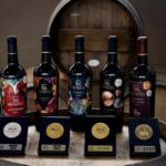 Tour & Wine Tasting San Miguel Vineyard / San Miguel Experience - Practical Considerations