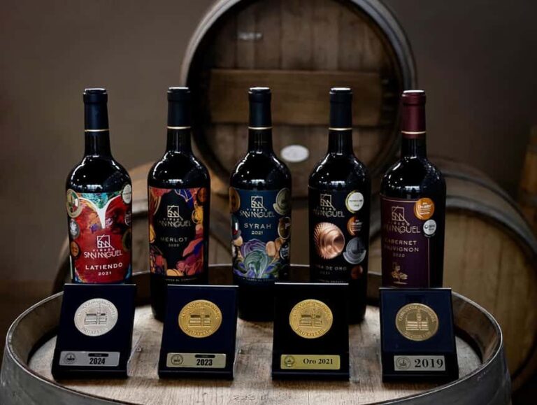 Tour & Wine Tasting San Miguel Vineyard / San Miguel Experience - Practical Considerations