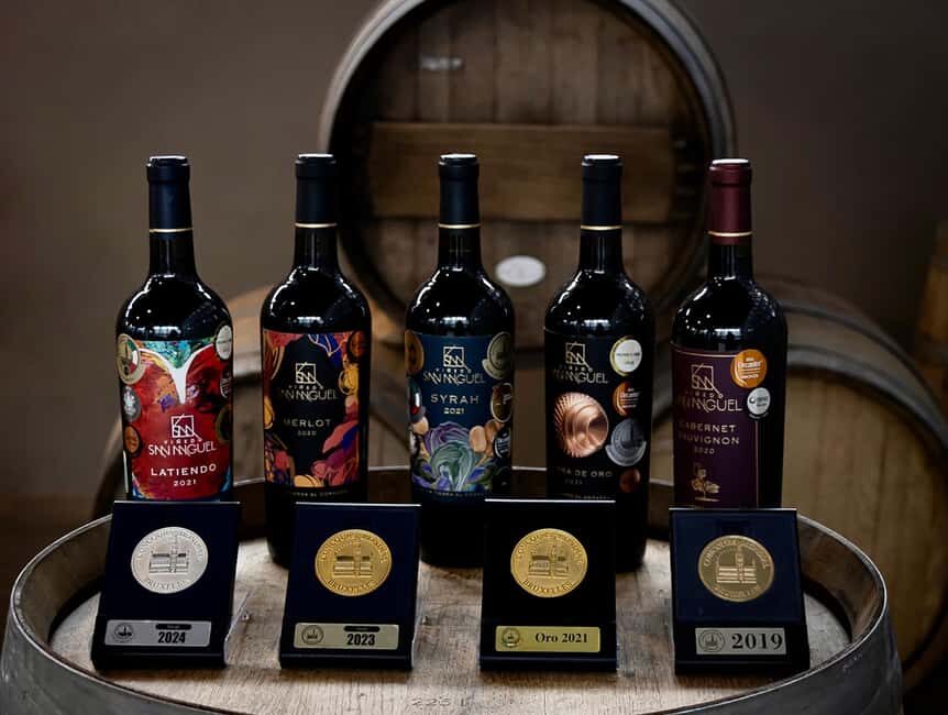 Tour & Wine Tasting San Miguel Vineyard / San Miguel Experience - Practical Considerations