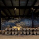 Tour & Wine Tasting Viñedo San Miguel / San Bartolo Experience - What the Tour Means for Travelers