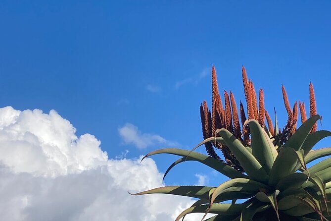 Tours of Santa Barbara - FAQs