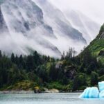 Tracy Arm Fjord and Glacier Explorer from Juneau - What Travelers Say: Real Feedback and Insights