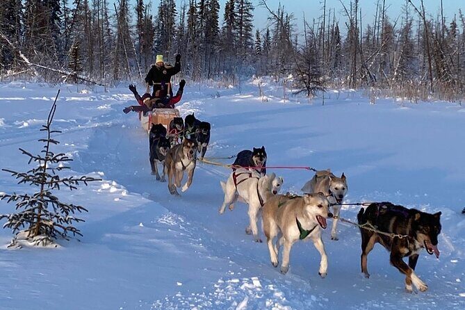 Traditional Dog Sledding Adventure in Yellowknife - The Practical Side: Logistics and Details