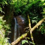 Trails Through Time Bellevue Coal Creek History Hike - Final Thoughts