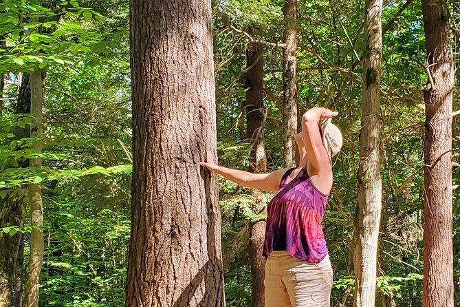 Transformative Forest Escape: A Mindful Journey for Inner Calm - The Meeting and Location