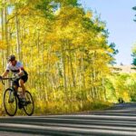 Traverse City: Old Mission Peninsula Bike and Wine Tour - What to Expect Step-by-Step